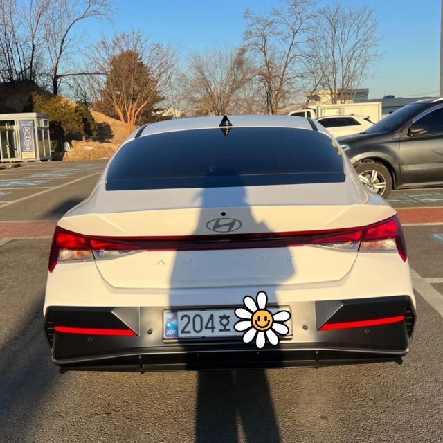 Md 006